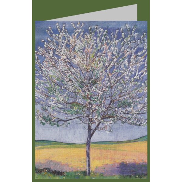 Ferdinand Hodler. Blühender Kirschbaum, 1905.