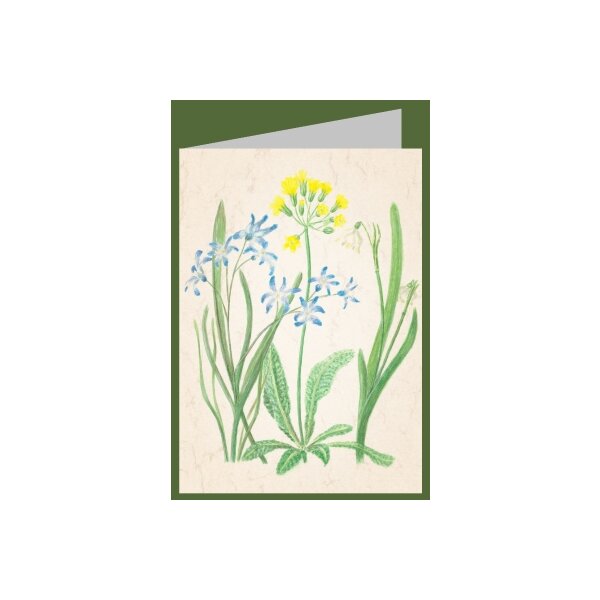 Anna Malten. Blaustern, Schlüsselblume, Märzbecher, 2007