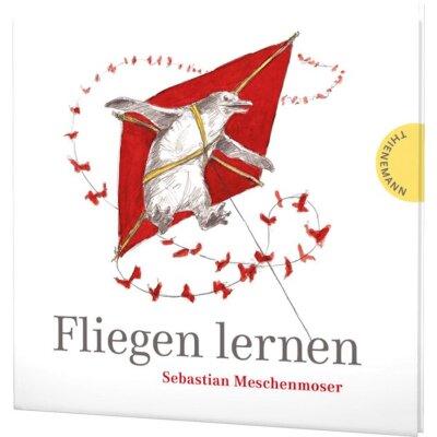Sebastian Meschenmoser. Fliegen lernen