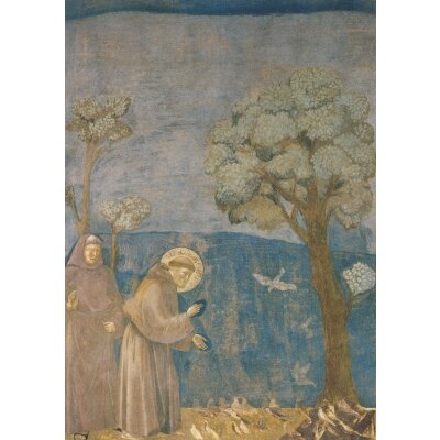 Giotto di Bondone. Franziskus predigt den Vögeln.KD...