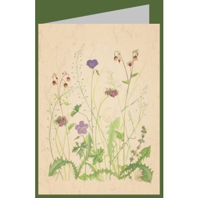 Anna Malten (Lübsee). Kanalwiese, 2012