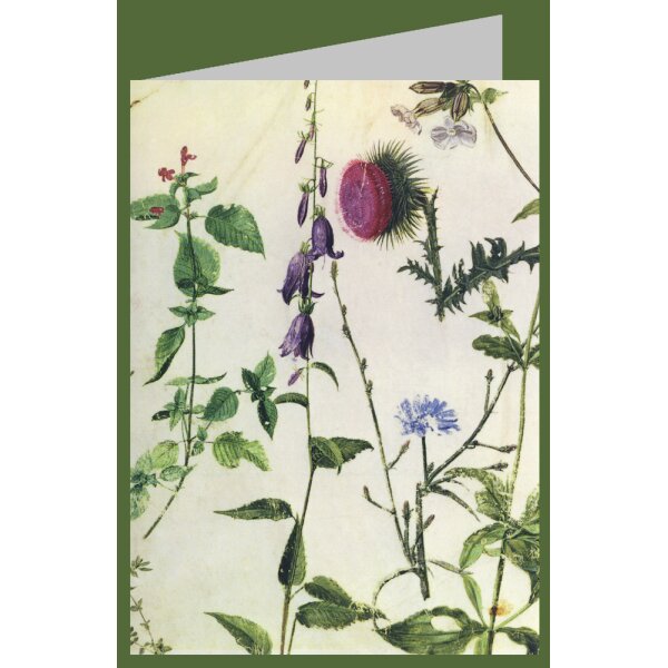 Albrecht Dürer. Studien von Wildblumen