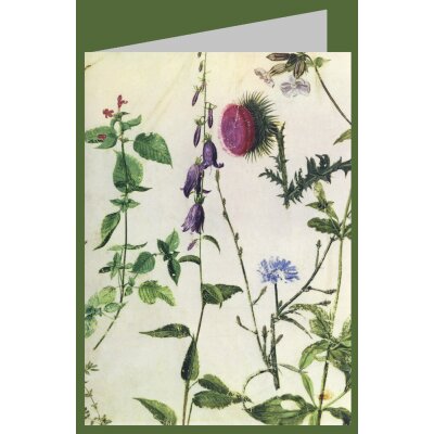 Albrecht Dürer. Studien von Wildblumen
