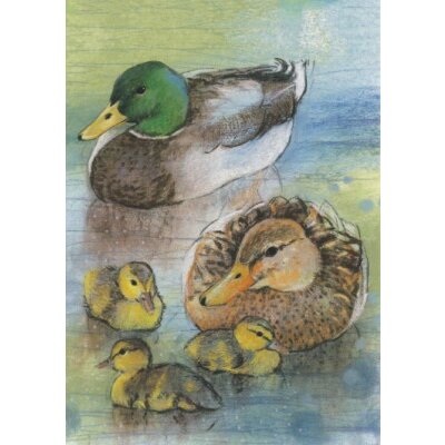 Loes Botman. Entenfamilie