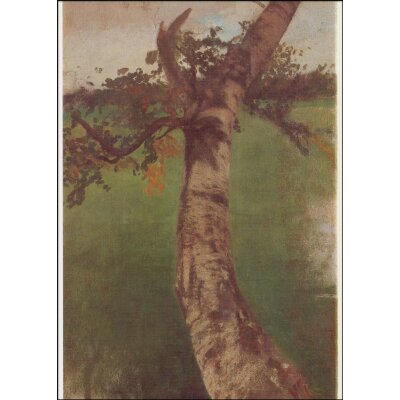 Otto Modersohn. Birkenstamm vor grünem Grund, 1894