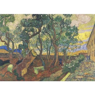 Gogh, V. Der Irrenhausgarten von Saint Rémy, 1889