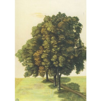 Drei Lindenb.auf einer Wiese,Dürer
