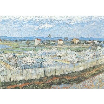 Vincent can Gogh. Landschaft bei Arles