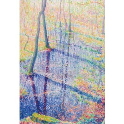 Jos van Wunnik. Quellwald III, Spiegelung