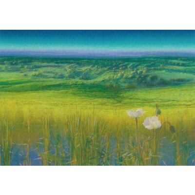 Ger Stallenberg. Innocent ground, 2006