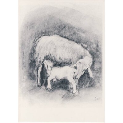 Biasio-Fulgosi, M. Schaf