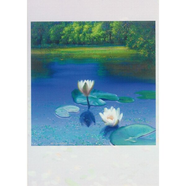Ger Stallenberg. Floating, 2007