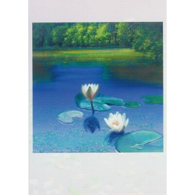 Ger Stallenberg. Floating, 2007