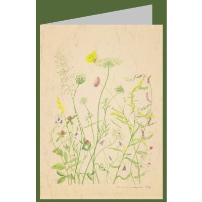 Anna Malten (Lübsee). Was vom Sommer übrig...