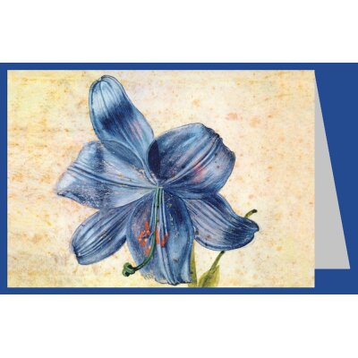 Albrecht Dürer. Studie einer Lilie, 1809