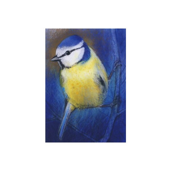 Loes Botman. Blaumeise, 2013
