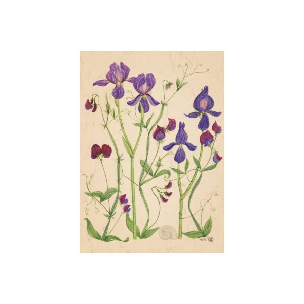 Anna Malten. Lilien und Wicken, 2015