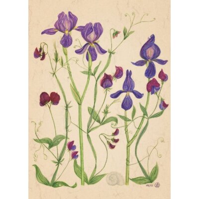 Anna Malten. Lilien und Wicken, 2015