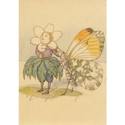 Ernst Kreidolf. Die ersten Blumen
