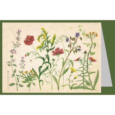 Anna Malten. Septembergartengrüße, 2009. Mini-DK