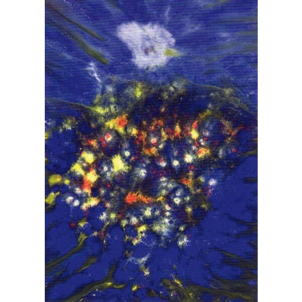 Loka H. Rißmann. Illusionen I