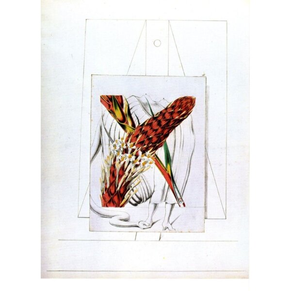 Max Ernst. Sans Titre, 1931