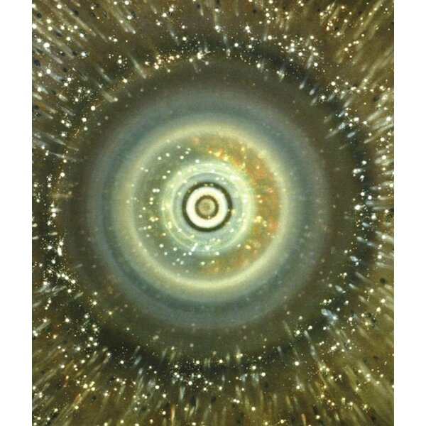 Loka H. Rißmann. Mandalas Seelenbilder, Bild Nr. 016
