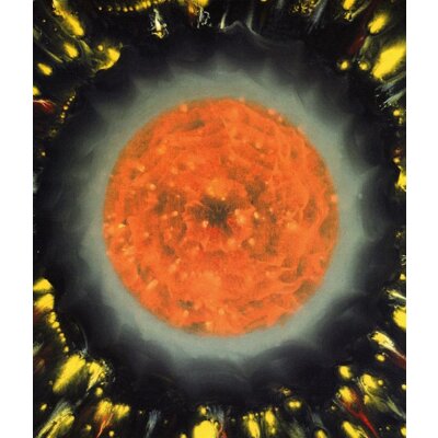 Loka H. Rißmann. Mandalas Seelenbilder, Bild Nr. 034