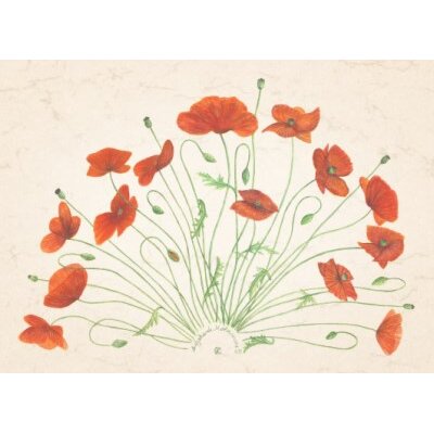 Anna Malten. Aufgehende Mohnsonne. DIN-A4 KD