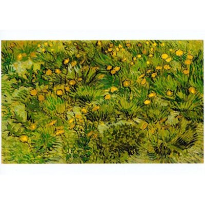 Vincent van Gogh. Feld mit gelben Blümchen, 1889