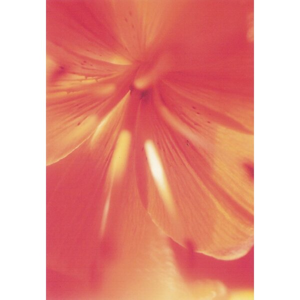 Bartl, C. Blume. Foto KK