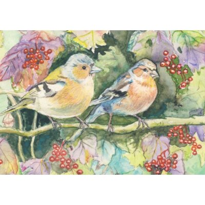 Anne C. Wenzel. Beerenschmaus