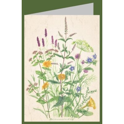 Anna Malten (Lübsee). Kräuterschönheiten, 2013