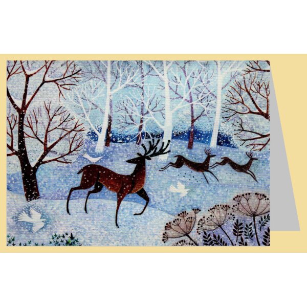 Lisa Graa Jensen. Cooler Hirsch