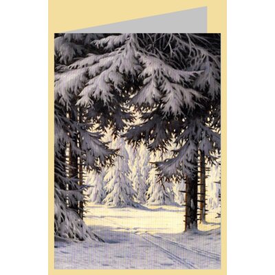 Karl Hauptmann. Waldinneres, Foto 1937