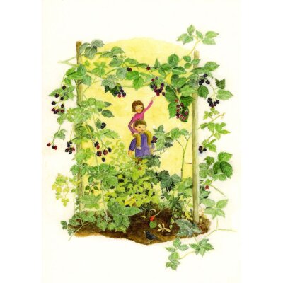 Elisabeth Heuberger. Brombeeren