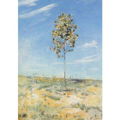 Holder, Ferdinand. Die kleine Platane, 1890. KK