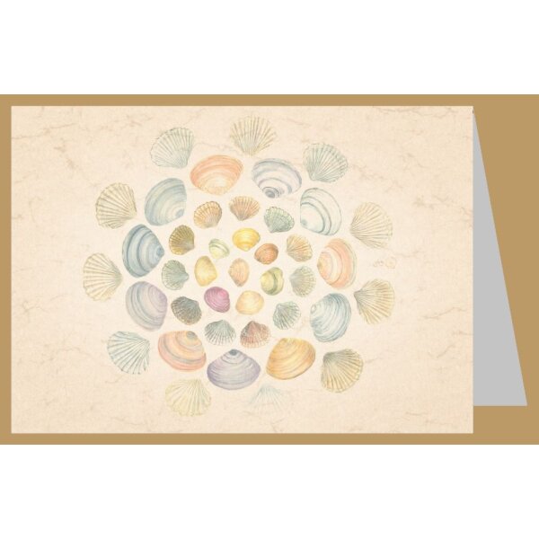 Anna Malten. Muschelsonne, 2013