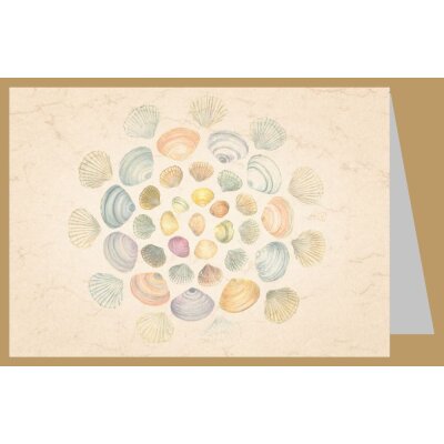 Anna Malten. Muschelsonne, 2013