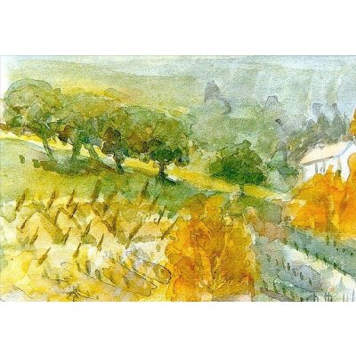 Thomas, C. Weinberg im Herbst