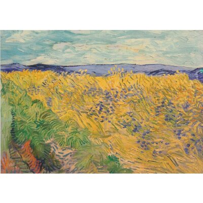 Vincent van Gogh. Feld mit Kornblumen, 1890
