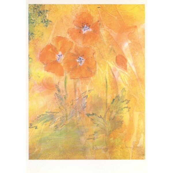 Nancy Fotheringham. Mohnblumen