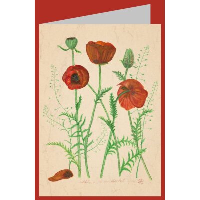 Anna Malten. Mohn und Hirtentäschel, 2008
