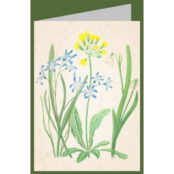 Anna Malten. Blaustern, Schlüsselblume und Märzbecher, 2007