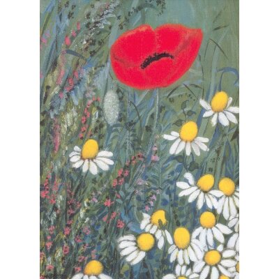 Heide Dahl. Mohn und Kamille
