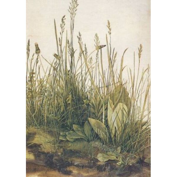 Albrecht Dürer. Das große Rasenstück