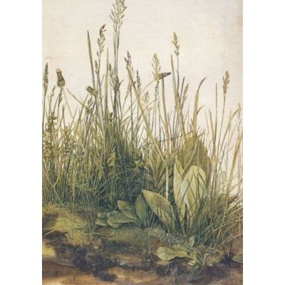 Albrecht Dürer. Das große Rasenstück