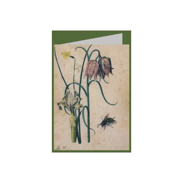 Georg Flegel. Iris, Narzisse, Schachbrettblume und Hornisse