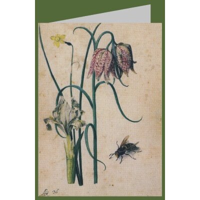 Georg Flegel. Iris, Narzisse, Schachbrettblume und Hornisse