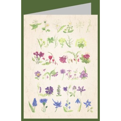 Anna Malten (Lübsee). Regenbogen, 2013